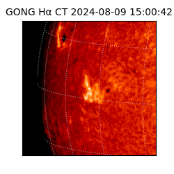 gong - 2024-08-09T15:00:42