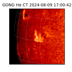 gong - 2024-08-09T17:00:42