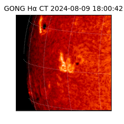 gong - 2024-08-09T18:00:42