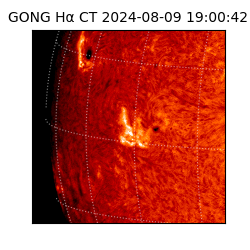 gong - 2024-08-09T19:00:42