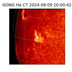 gong - 2024-08-09T20:00:42