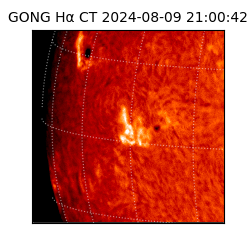 gong - 2024-08-09T21:00:42
