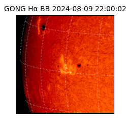 gong - 2024-08-09T22:00:02