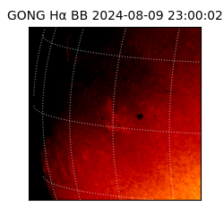 gong - 2024-08-09T23:00:02