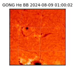 gong - 2024-08-09T01:00:02
