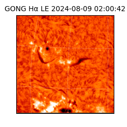gong - 2024-08-09T02:00:42