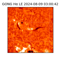 gong - 2024-08-09T03:00:42