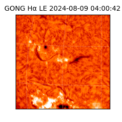 gong - 2024-08-09T04:00:42