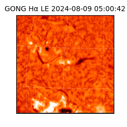 gong - 2024-08-09T05:00:42