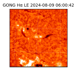 gong - 2024-08-09T06:00:42