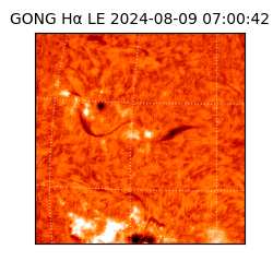 gong - 2024-08-09T07:00:42