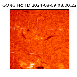 gong - 2024-08-09T08:00:22