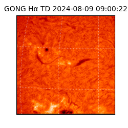 gong - 2024-08-09T09:00:22