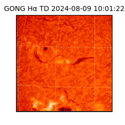 gong - 2024-08-09T10:01:22