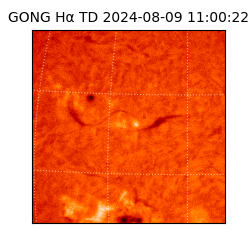 gong - 2024-08-09T11:00:22