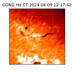 gong - 2024-08-09T12:17:42