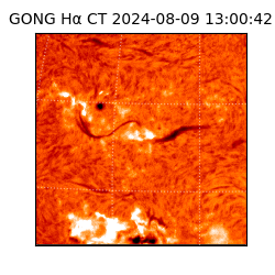 gong - 2024-08-09T13:00:42