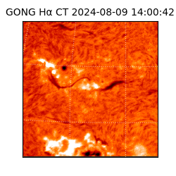 gong - 2024-08-09T14:00:42