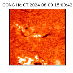 gong - 2024-08-09T15:00:42