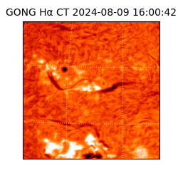 gong - 2024-08-09T16:00:42