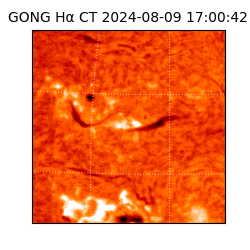 gong - 2024-08-09T17:00:42