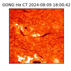 gong - 2024-08-09T18:00:42