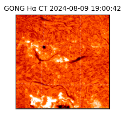 gong - 2024-08-09T19:00:42