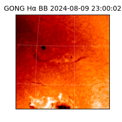 gong - 2024-08-09T23:00:02