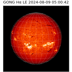gong - 2024-08-09T05:00:42