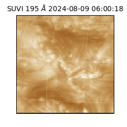 suvi - 2024-08-09T06:00:18.169000