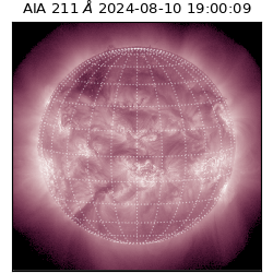 saia - 2024-08-10T19:00:09.626000