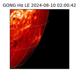 gong - 2024-08-10T02:00:42