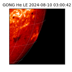 gong - 2024-08-10T03:00:42