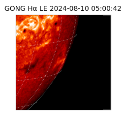 gong - 2024-08-10T05:00:42