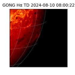 gong - 2024-08-10T08:00:22