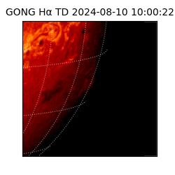 gong - 2024-08-10T10:00:22