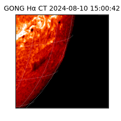 gong - 2024-08-10T15:00:42