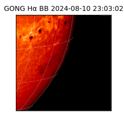 gong - 2024-08-10T23:03:02