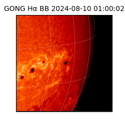gong - 2024-08-10T01:00:02