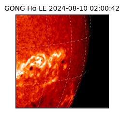 gong - 2024-08-10T02:00:42