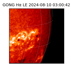gong - 2024-08-10T03:00:42