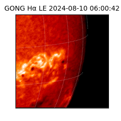 gong - 2024-08-10T06:00:42
