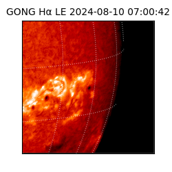 gong - 2024-08-10T07:00:42