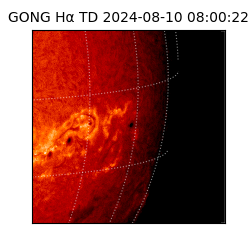 gong - 2024-08-10T08:00:22