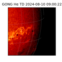 gong - 2024-08-10T09:00:22