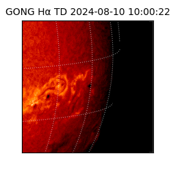 gong - 2024-08-10T10:00:22