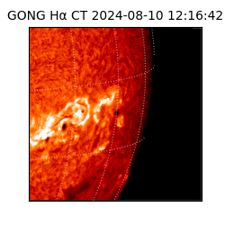 gong - 2024-08-10T12:16:42