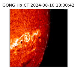 gong - 2024-08-10T13:00:42