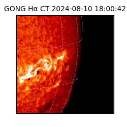 gong - 2024-08-10T18:00:42