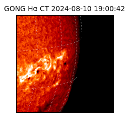 gong - 2024-08-10T19:00:42